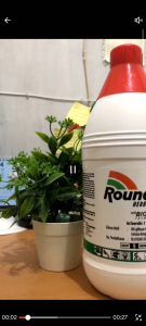 Roundup 486 SL Obat Pembasmi Rumput Liar 1 Liter - Sangat Ampuh pestisida