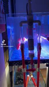 lọc Tách phân cho tràn dưới  oveflow  Sanking rồng 2 vòi thiết kế ưng mắt