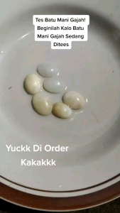 Batu cincin mani gajah putih bisa jalan di air cuka garansi batu asli