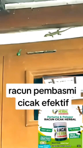 PALING AMPUH RACUN CICAK BASMI CICAK SUPER AMPUH