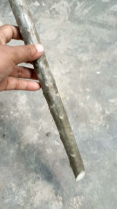 BIBIT CUTTING KAMBOJA PLUMERIA SANGWAAN MERAH TEGAS BENTUK BUNGA ROSET LEBAR INDAH BISA MEKAR SERENTAK LEBAT