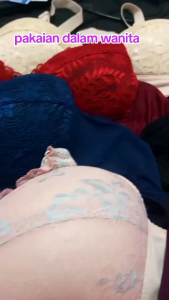 Bra Wanita | Bh Wanita | Bra Renda 3 PCS | Bra Busa Tipis Tanpa Kawat