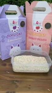 ทรายแมว แคทมีมส์ cat memes