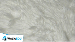 Bestnya Parenting Coretan Wawa Shauqi (2021) free Buku 365 Edisi Cilik (Tahun 2023)