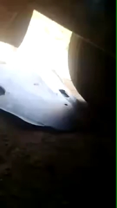 KNALPOT SERIGALA GUKGUK BENSIN SOLAR ELF CANTER UMPLUNG RAGASA CARRY TRUK PICKUP DLL