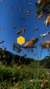 Nice Honey - Madu Asli Murni 100% Nektar Bunga Multifora