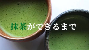 Matcha Organic Uji Kyoto JAS Ceremonial Grade ผง Matcha ออแกนิก 100% เกรดพิธีชงชา 30g Tin (Exp 2025/12)