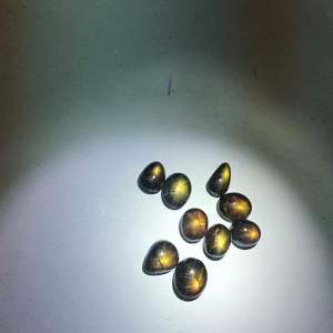 Gold star 10x12 พลอยแซฟไฟร์รูปดาวทองคำแท้ 7 กะรัต ทรงรี 10x12