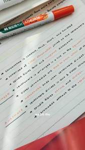 Kokuyo P-M120 Checkle Pen with Erasable Pen Marker and Memorizing Sheet SET