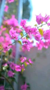 KEMEJA BATIK PRIA LENGAN PANJANG BATIK PREMIUM BATIK PRIA MOTIF PANDAWA ICE BLUE KHARISMA BATIK