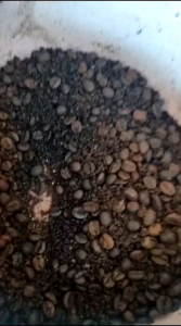 Kopi bubuk spesial paket murah isi 1kg 500g 250g.