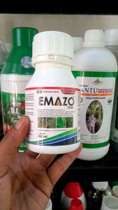 #insektisida EMAZO 250ml Sasaran Hama ulat pada tanaman bawang merah 250Ml Insektisida Otomatis Insect Control Pembasmi Ulat - Lazada
