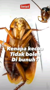 Cairan Semprotan Pembasmi Semut dan Kecoa - Seroxil Pembasmi Semut dan Kecoa