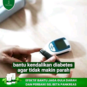 Yacona Asli Ekstrak Daun Yakon Terbukti Ampuh Atasi Diabetes