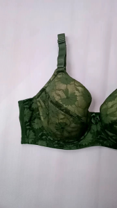LUCINA UNDERWIRE FULL CUP LACE BRA