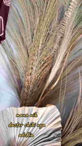 daster chibi rayon allsize daster murah santai homedress bumil busui