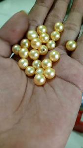 Mutiara 8mm Kuning Emas Muda isi 50butir