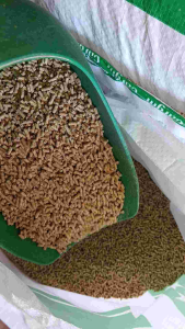 5 kí Thức ăn Cargill cho gà thả vườn. Dạng viên.