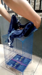 kandang burung colibri/ peleci +bonus kerodong  .gantung kotak bisa d lipat .lebar 23  tinggi 40..