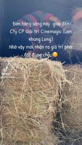 1Kg Rơm Khô Củ Chi Rơm Rạ Trồng Nấm Rơm Lót Ổ Gà Rơm Làm Giá Thể Rơm Decor đồ trang trí sân vườn - FreeShip Max - Thuỳ phạm - Đặc sản Củ Chi