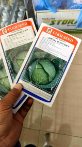 BIBIT KUBIS GREEN CORONET