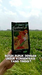 Swallow 80 wp 500gram