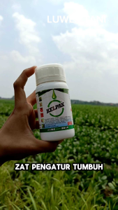 KELPAK zat pengatur tumbuh 250ml perlakuan benih
