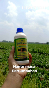 JIMMY HANTU RATU BIOGEN 500ML HIJAU