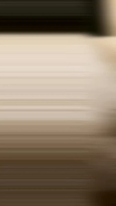 Chillcat 400gr: Makanan Kaleng Kucing Untuk Semua Umur