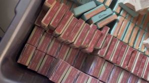 Eyeshadow & Highlighter Colorland: Produk Makeup Berkualitas