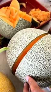 PROMO TERBAIK!!! BENIH MELON JUMBO F1 MANIS bibit benih buah melon super unggul berkualitas