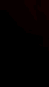 LOVELY WALLET JIMSHONEY DOMPET MINI WANITA BERKUALITAS