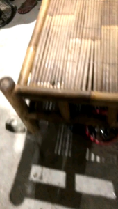 kacang  meler umpan ikan bawal trlaris