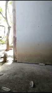 Pisau Dapur Multi Fungsi 10cm Gagang Polos: Solusi Memotong Daging, Sayur, Buah & Sambelih