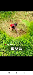 MESIN POTONG RUMPUT 2 TAK MULTIFUNGSI 5 JENIS MATA PISAU