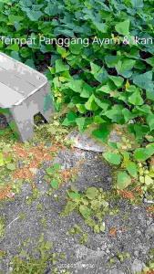 {COD} TEMPAT PANGGANG SATE IKAN BAKAR AYAM BAKAR DLL  ANTI KARAT BERKUALITAS