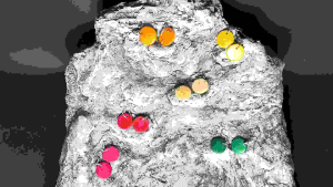 Coconut Earrings :  Tropical. Handcrafted. Sustainable. Fashion. Unique. Natural. Jewelry. Island-inspired. Online store. Exquisite. Accessories. Trendy. Eco-friendly. Affordable. Statement. Summer. Beachy. Exotic. Boho-chic. Fashionable. Vegan-friendly.