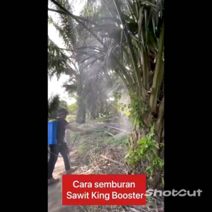 SAWIT KING BOOSTER RAJA SAWIT BOOSTER SUPER HIGH K+BORON+TE PREMIUM FORMULATION PH 6.2 ORIGINAL HQ