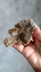 Calcite | แคลไซต์ 🌈💛 #Cal3  #cluster ✨ ผลึกเล็กๆ สีน้ำตาล 🌛  หินธรรมชาติ ผลึกแคลไซต์ หินสะสม