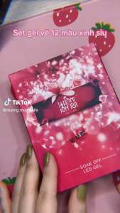 Set gel vẽ 12 hũ siêu đặc đủ màu cơ bản nhất