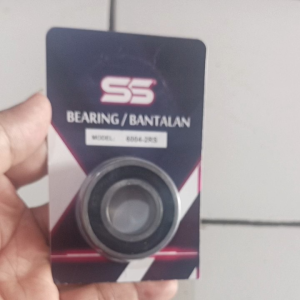 Bearing / Laher 6004