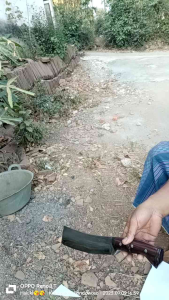 Alat Pengupas Bambu & Cacah Ayam/Kelapa: Panduan Lengkap