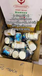 GUM GÀ 100g thuốc phòng gumboro anti gum cho gà con gia cầm cút ngừa và trị tiêu chảy hô hấp