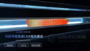 ⚡SG Official Distributor⚡MAYIN Atomic 13000K Tanning Light