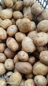 Kentang Segar 1kg: Umbi Umbian Kentang Goreng