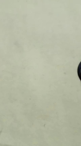 Snapring S15 Snap ring Circlip External Retaining Tipe S 15 Penahan bearing Sparepart S-15 klip Pengunci Kleman Klem Clip Kancing