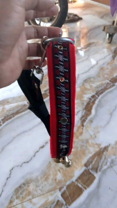 kalung kambing etawa domba sama talinya