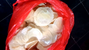 Emping Melinjo Asli Tanpa Campuran Ukuran Besar Biji 4-5 Melinjo Siap Goreng Asli Kebumen emping mentah kualitas super kemasan 1kg sudah disortir siap goreng