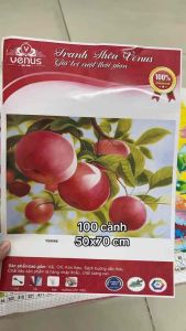 Tranh thêu kín Trái táo VS9088 kích thước 50x70 cm