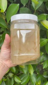 1kg Hạt Đác Tươi Sơ Chế Nấu Đường Thốt Nốt Ăn Liền